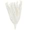35" Natural Dried Palm Leaf Bundle with Feather-Inspired Stems
